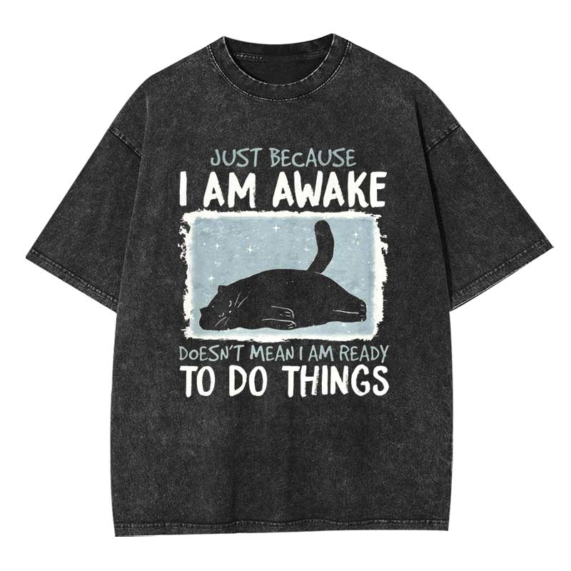 I‘m Ready to Do Nothing Washed T-shirt