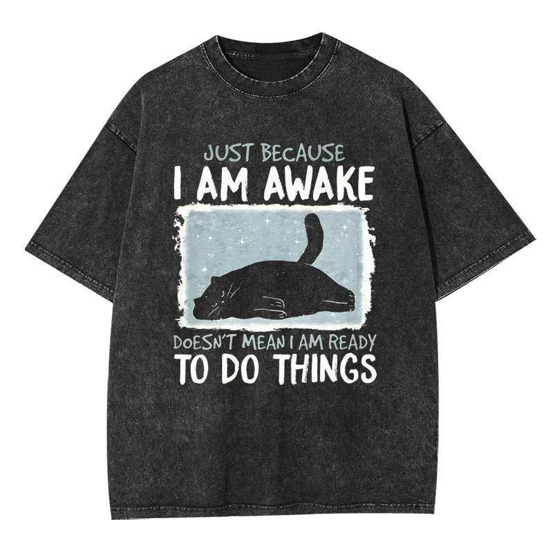 I‘m Ready to Do Nothing Washed T-shirt