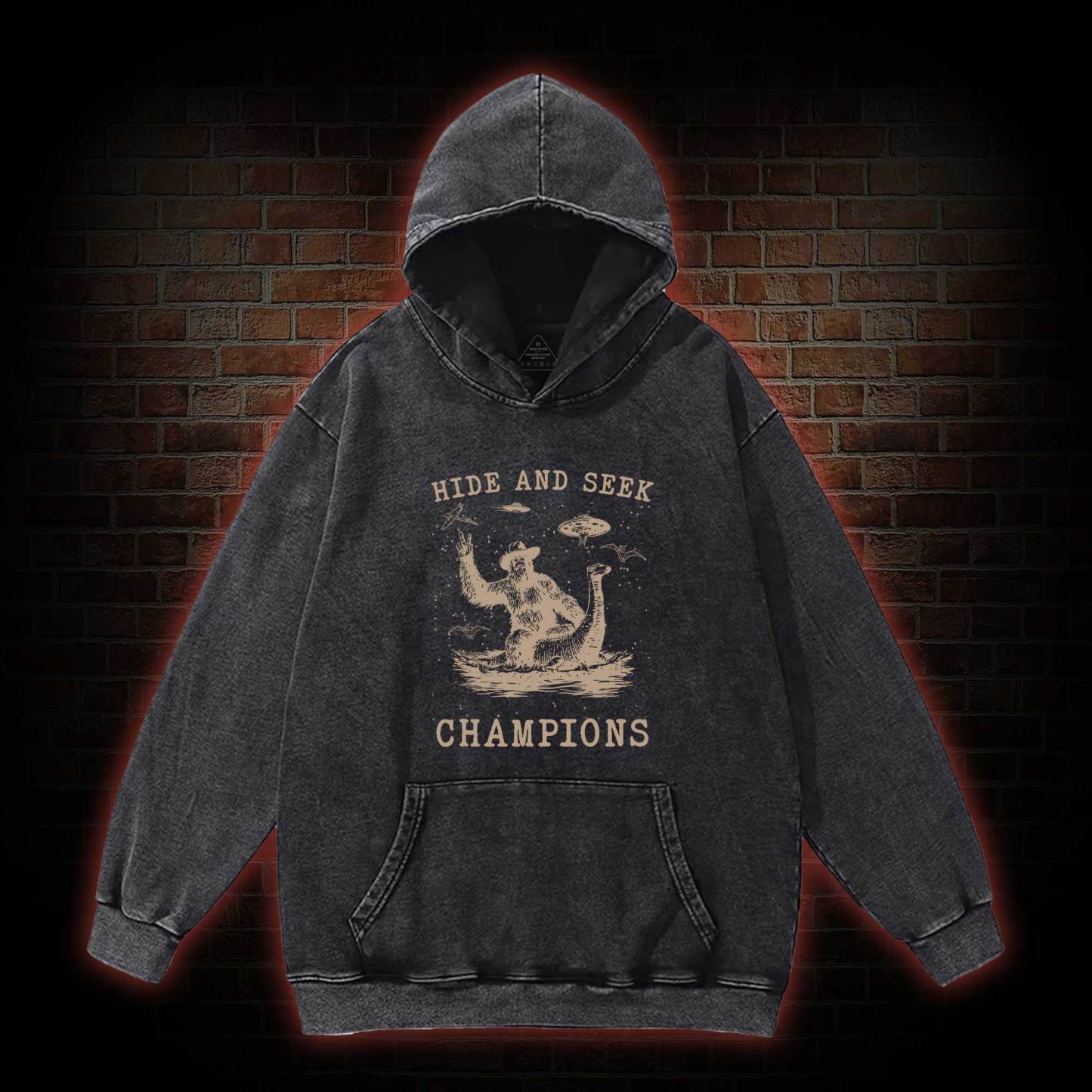 Hide & Seek Champion Washed Hoodie