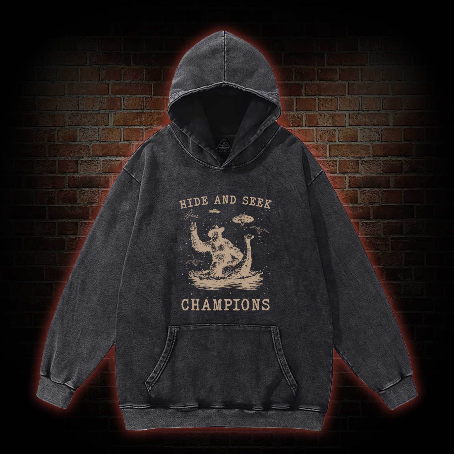 Hide & Seek Champion Washed Hoodie