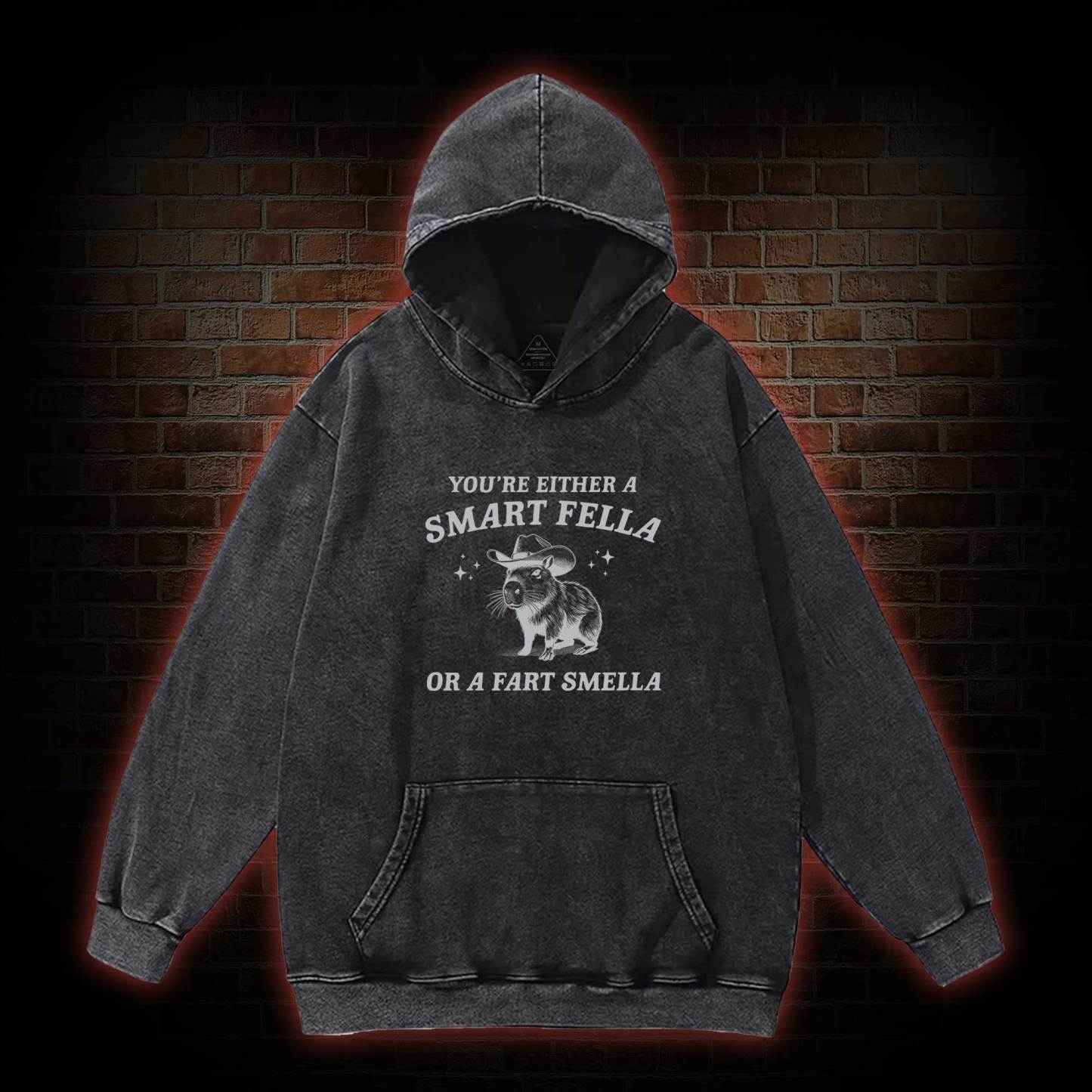 Smart Fella Or Fart Smella Washed Hoodie