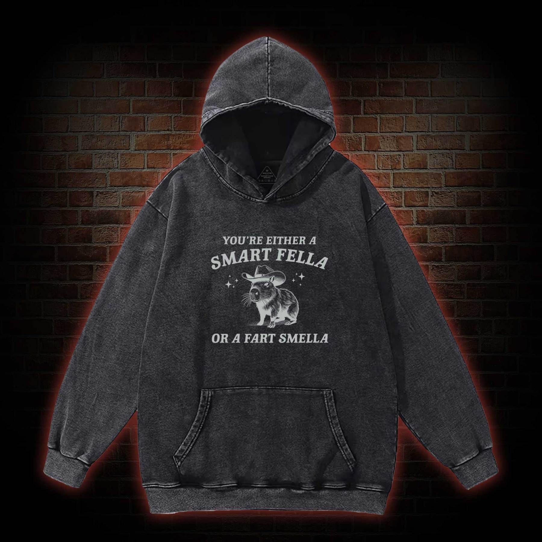 Smart Fella Or Fart Smella Washed Hoodie