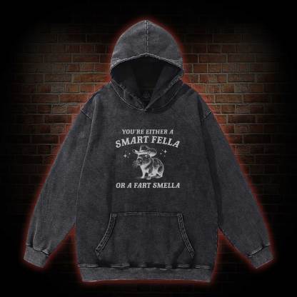 Smart Fella Or Fart Smella Washed Hoodie