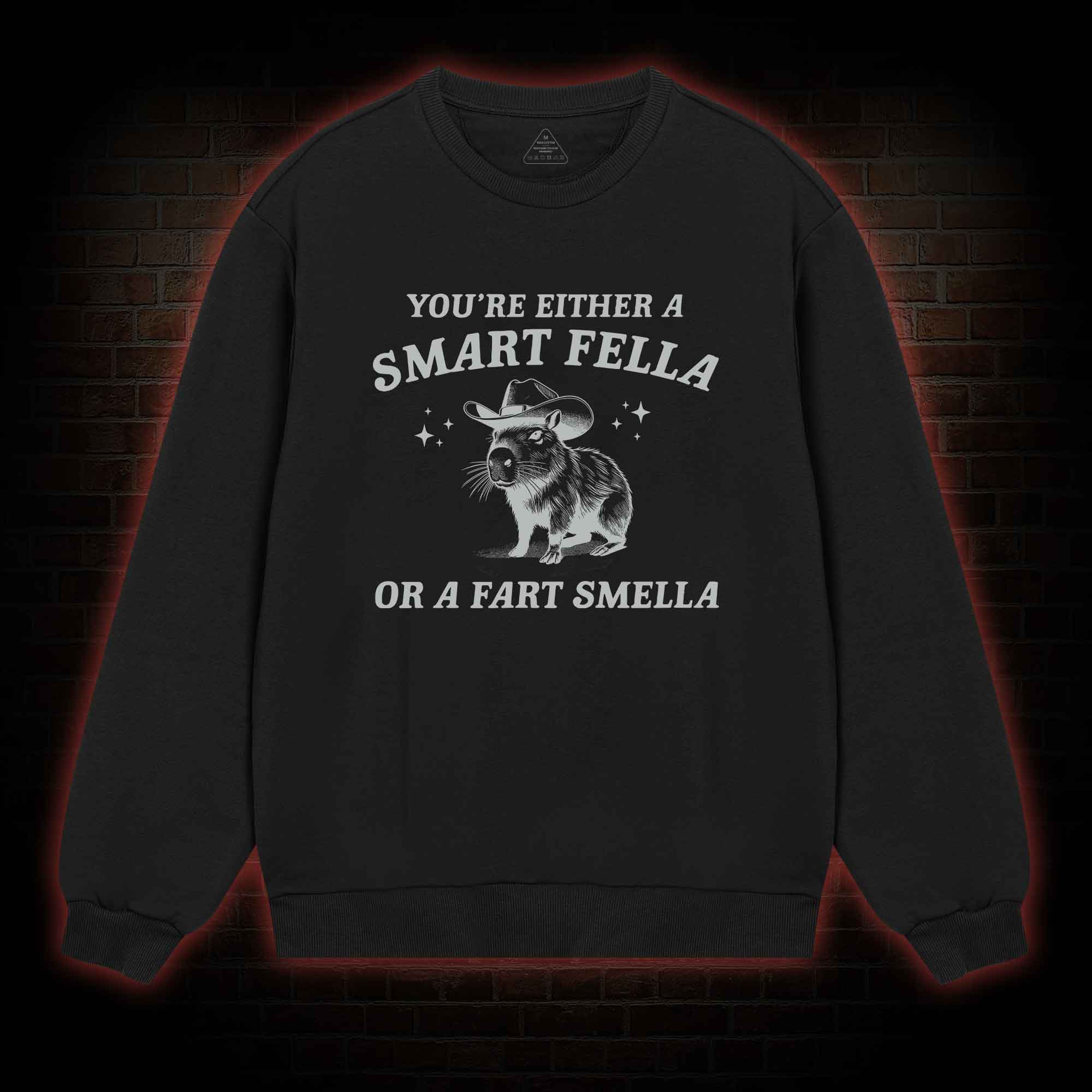 Smart Fella Or Fart Smella Sweatshirt