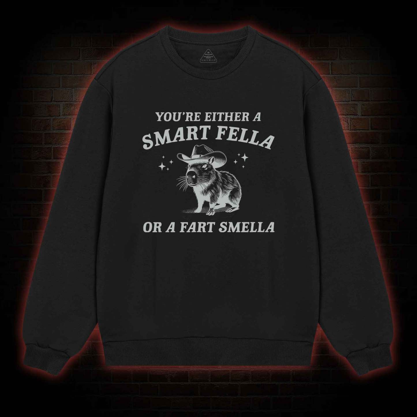 Smart Fella Or Fart Smella Sweatshirt
