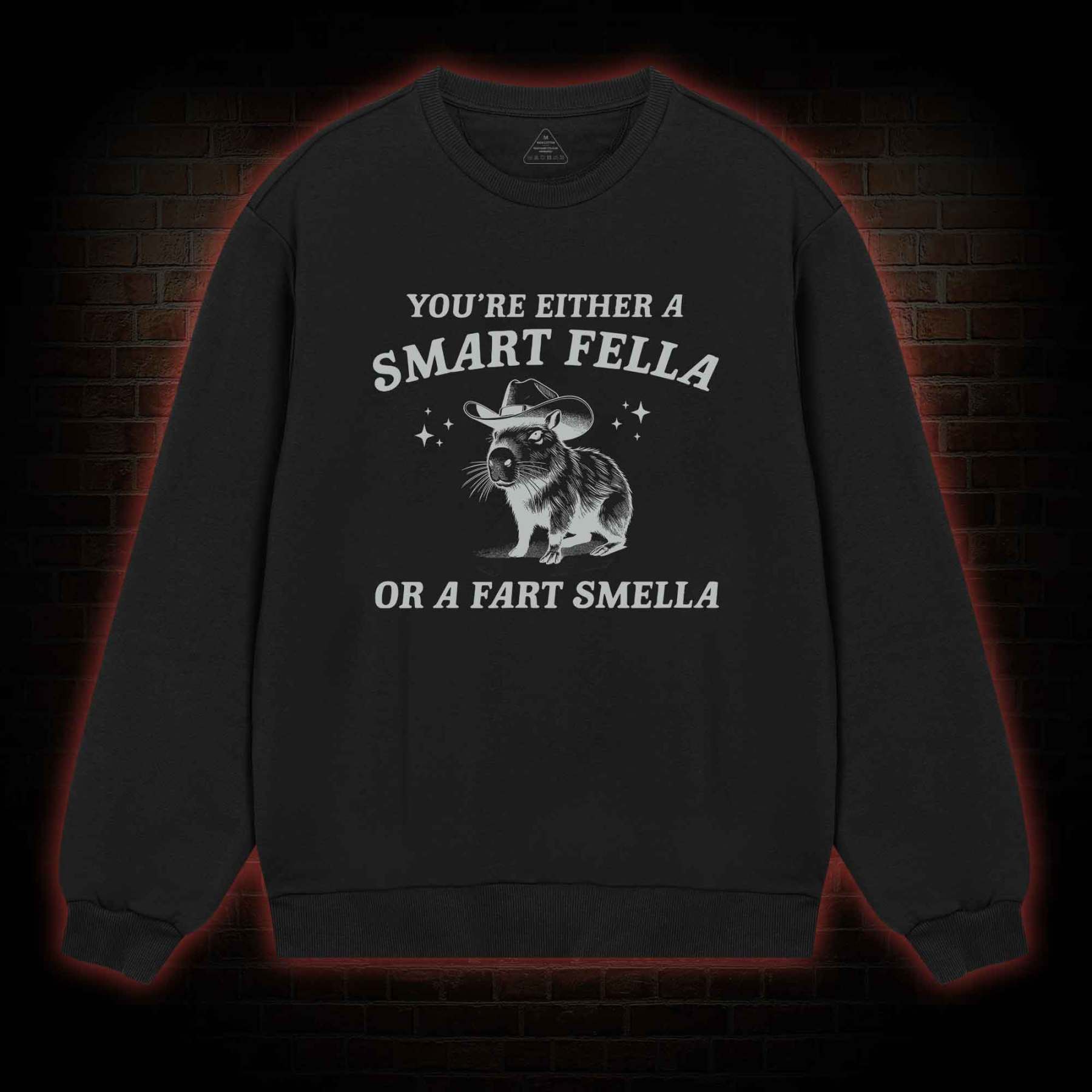 Smart Fella Or Fart Smella Sweatshirt
