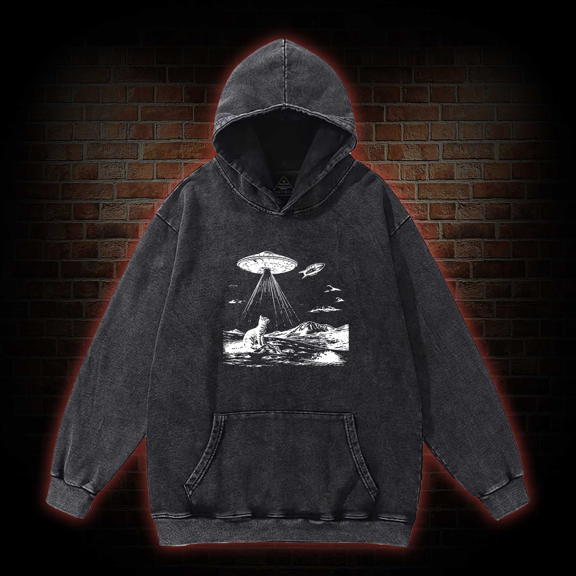 Ufo Cat Washed Hoodie