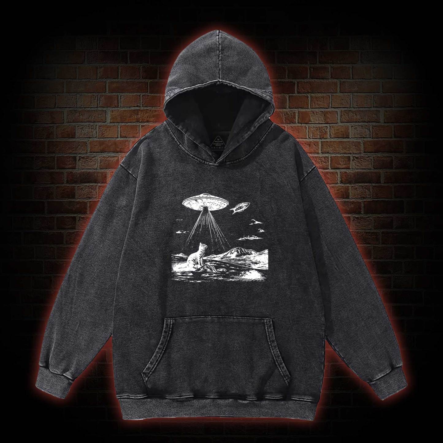 Ufo Cat Washed Hoodie