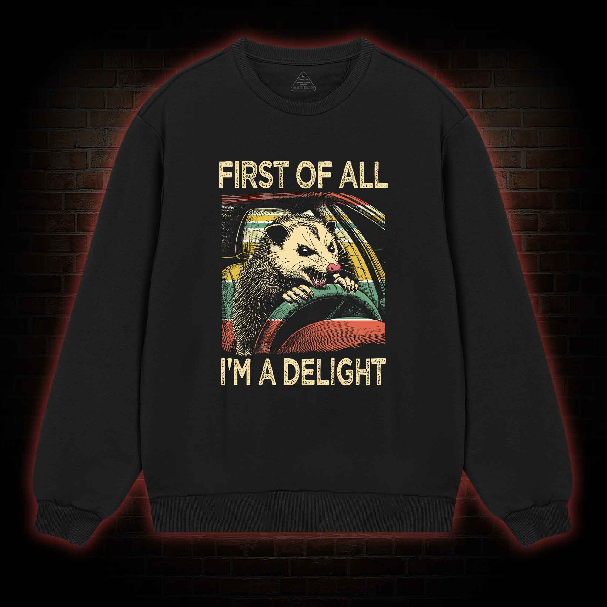 First Of All I'm A Delight Sweatshirt
