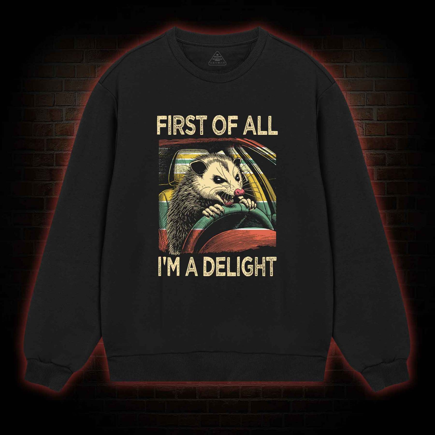 First Of All I'm A Delight Sweatshirt