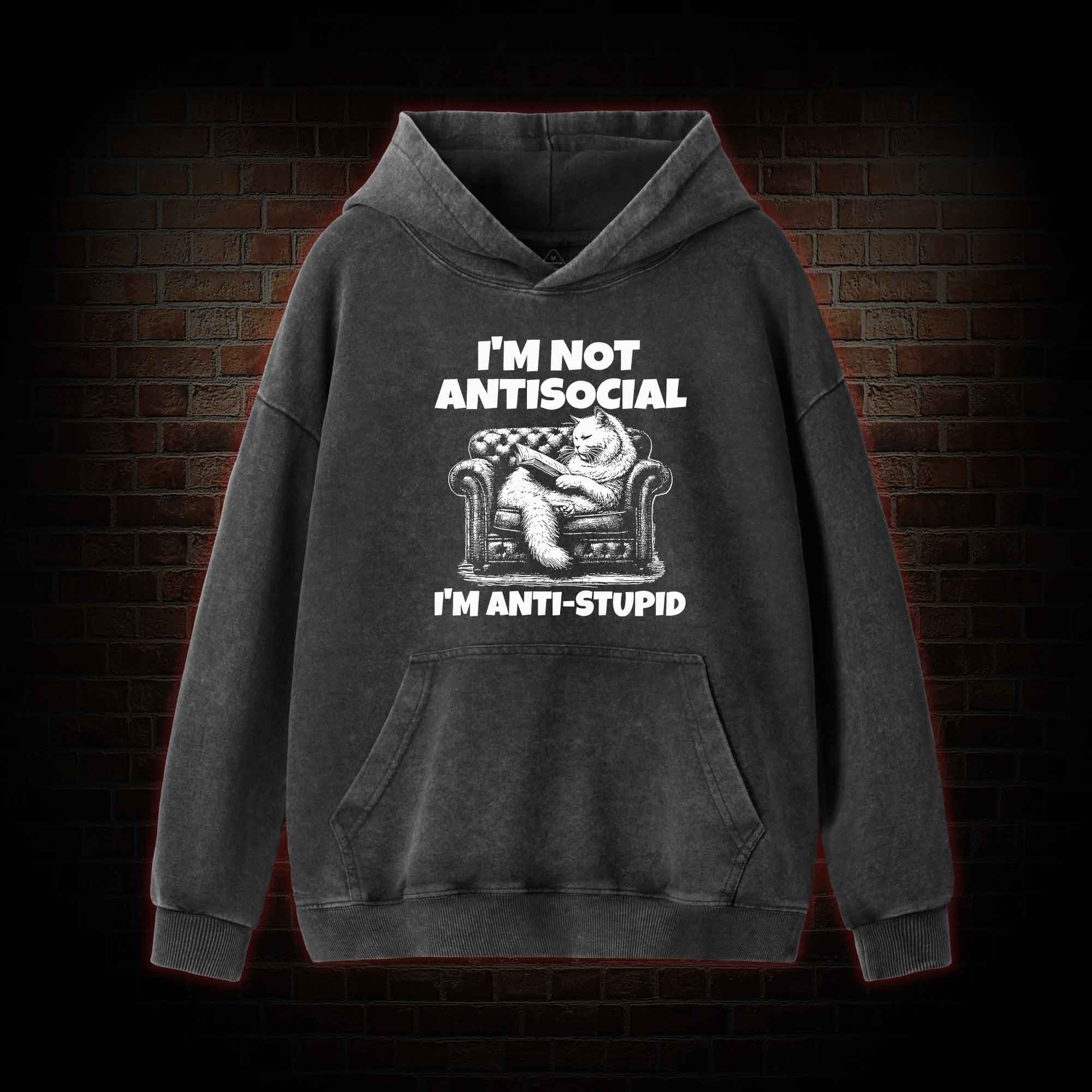 I'm Not Antisocial Washed Hoodie