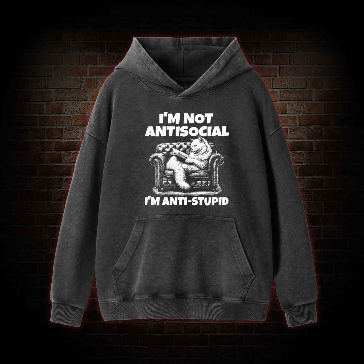 I'm Not Antisocial Washed Hoodie