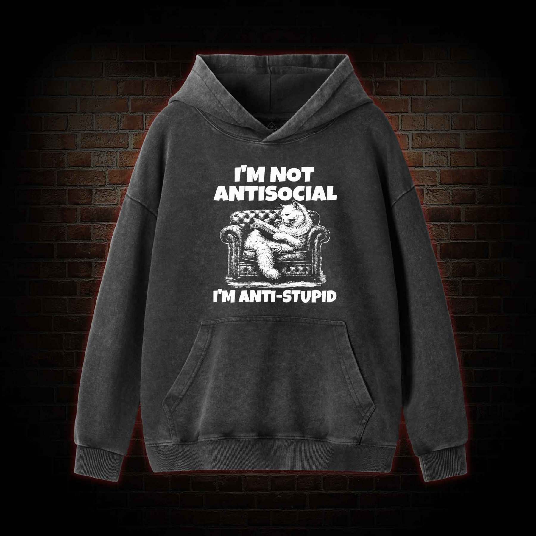 I'm Not Antisocial Washed Hoodie