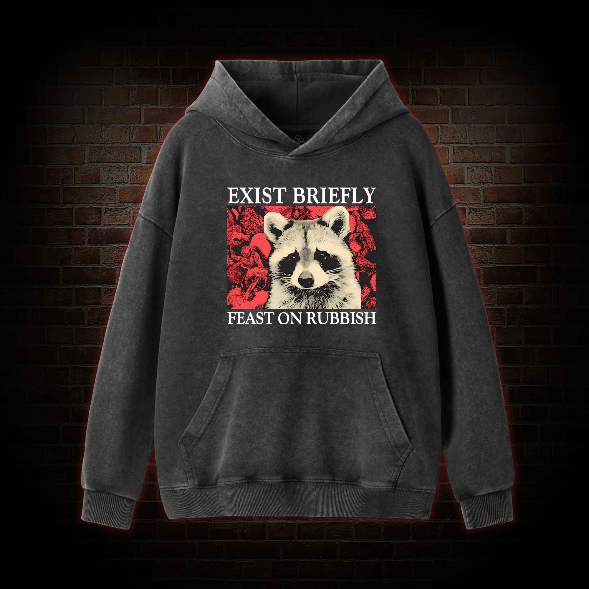 Exist Briefly Feast On Rubbish Washed Hoodie