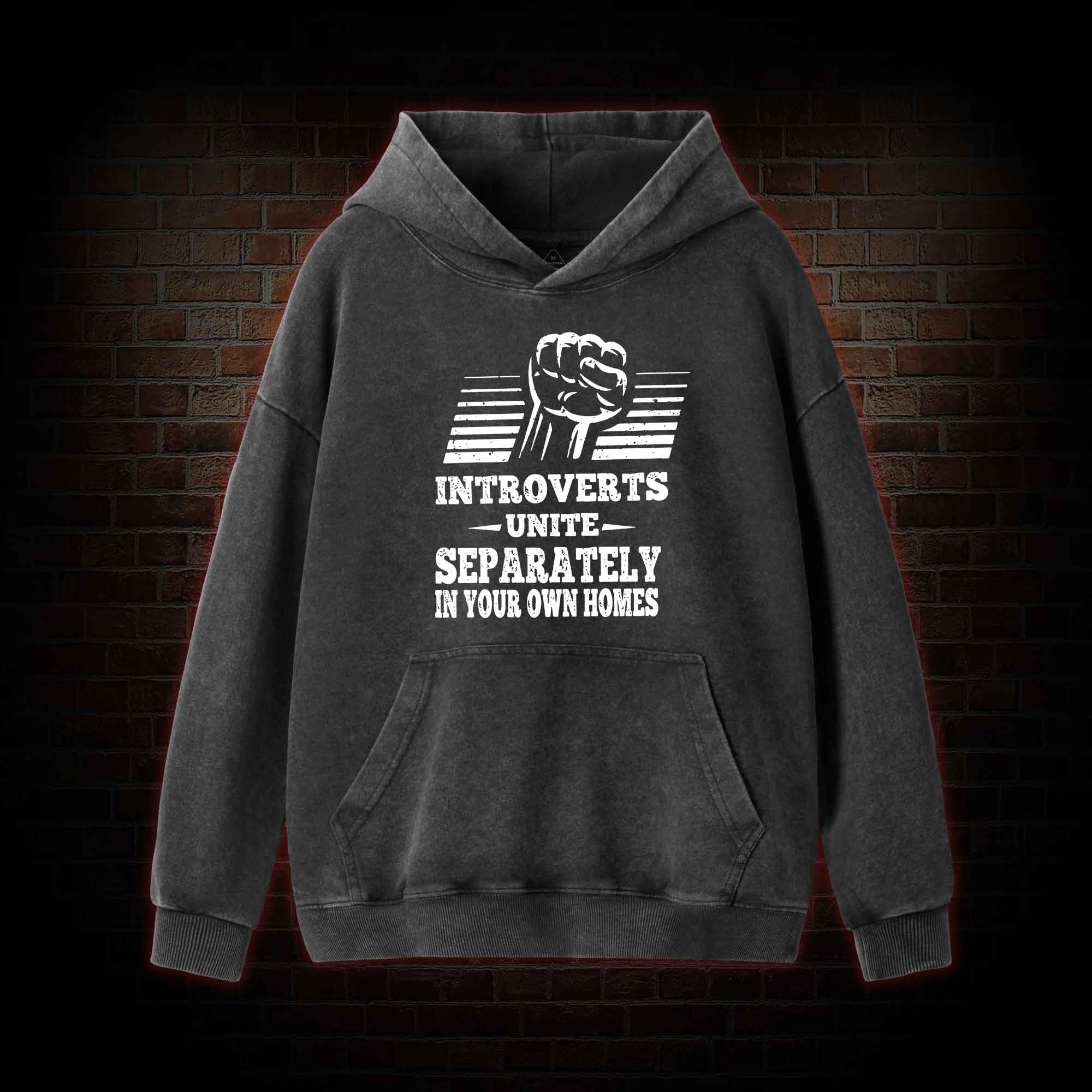 Introverts Unite Separately In Your Own Homes Washed Hoodie