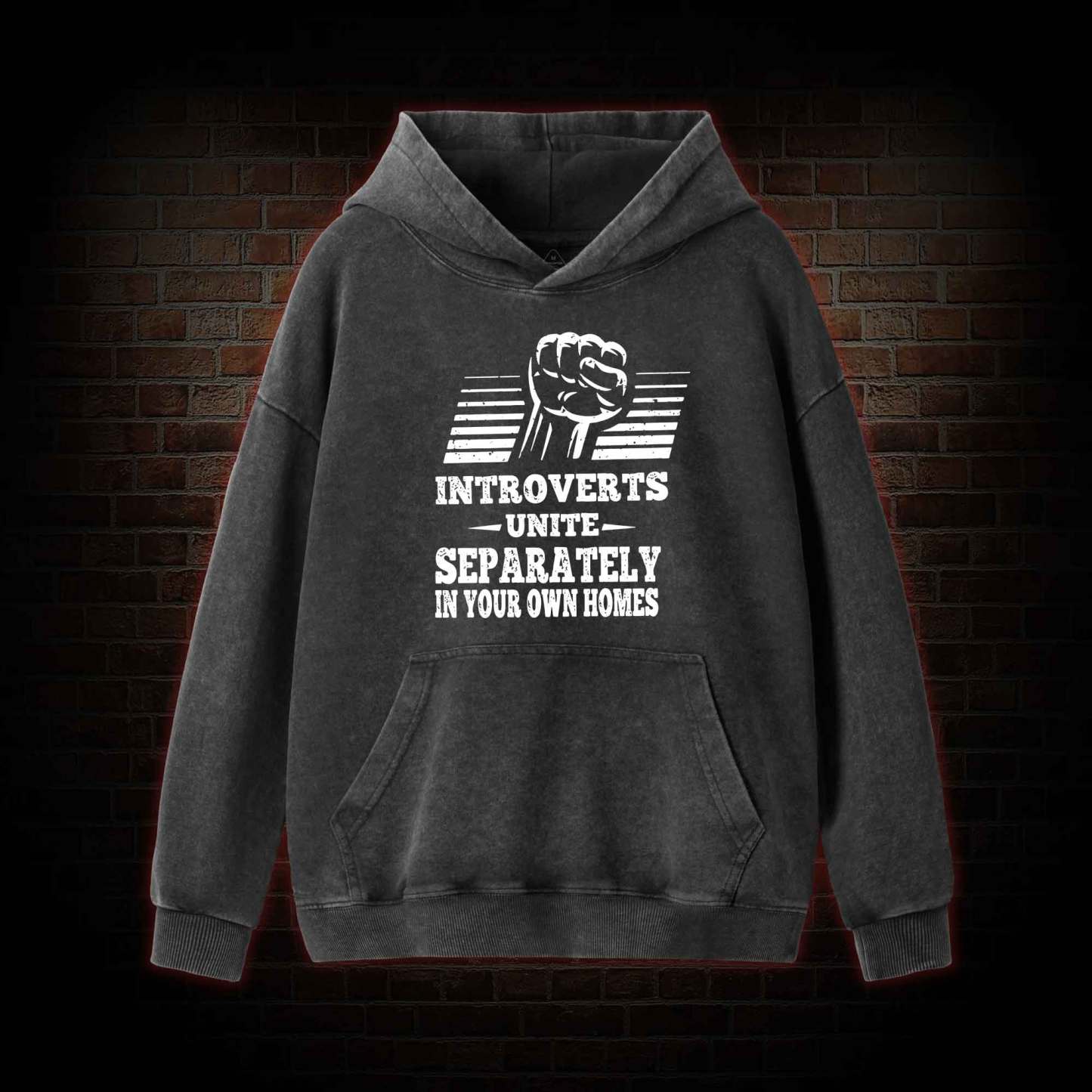 Introverts Unite Separately In Your Own Homes Washed Hoodie
