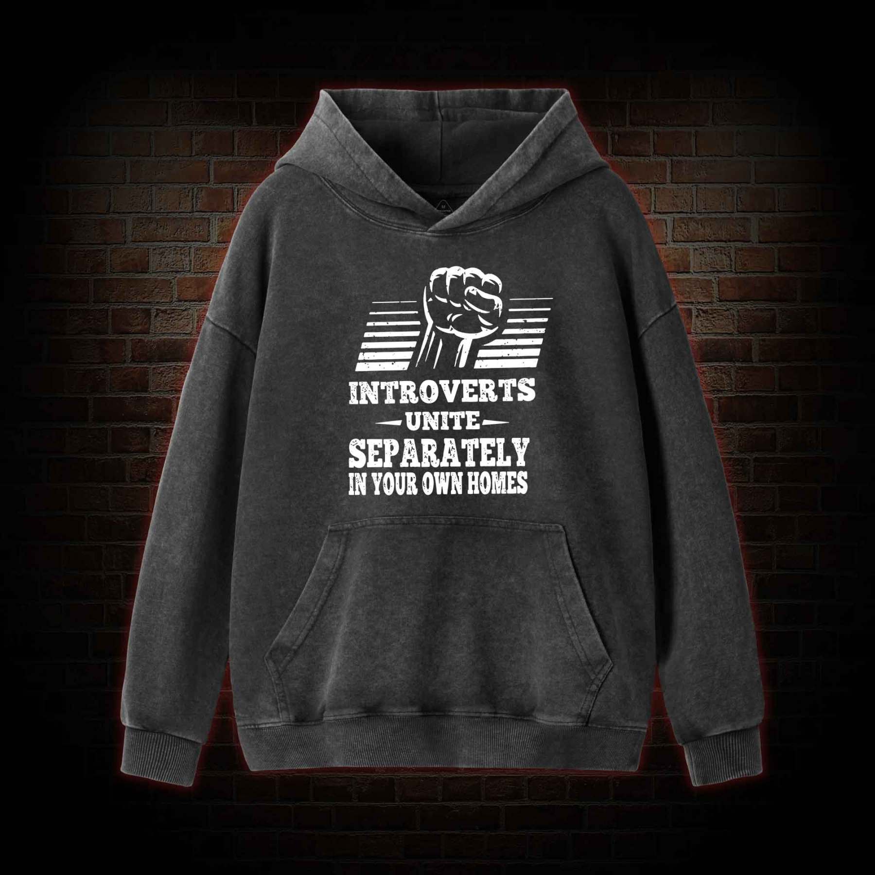 Introverts Unite Separately In Your Own Homes Washed Hoodie