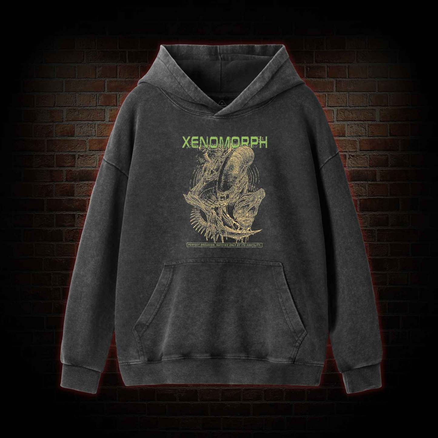 Alien Perfect Organism Washed Hoodie