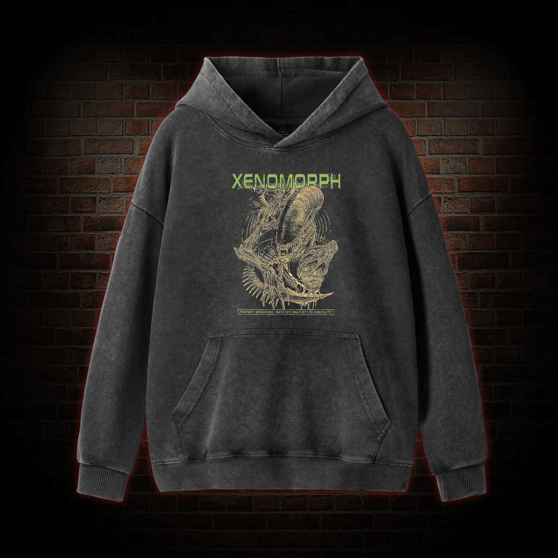 Alien Perfect Organism Washed Hoodie