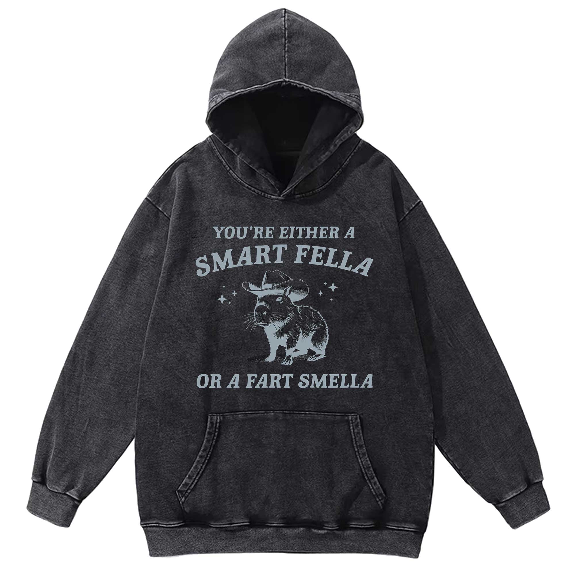 Smart Fella Or Fart Smella Washed Hoodie