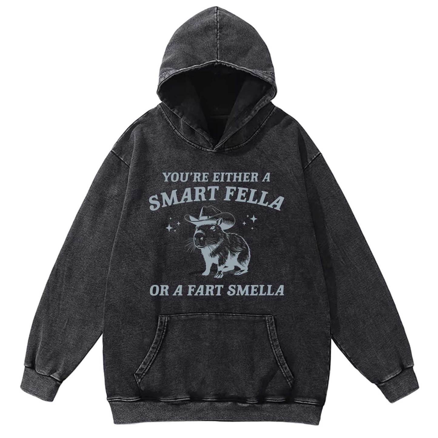 Smart Fella Or Fart Smella Washed Hoodie