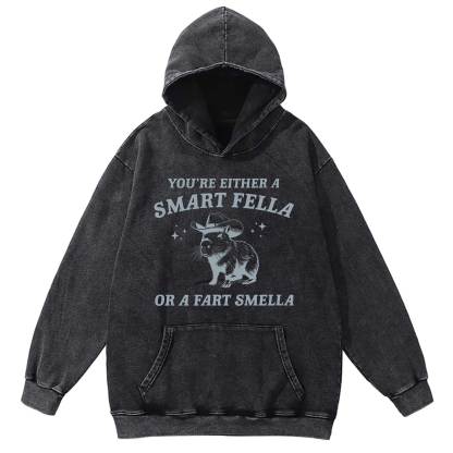 Smart Fella Or Fart Smella Washed Hoodie