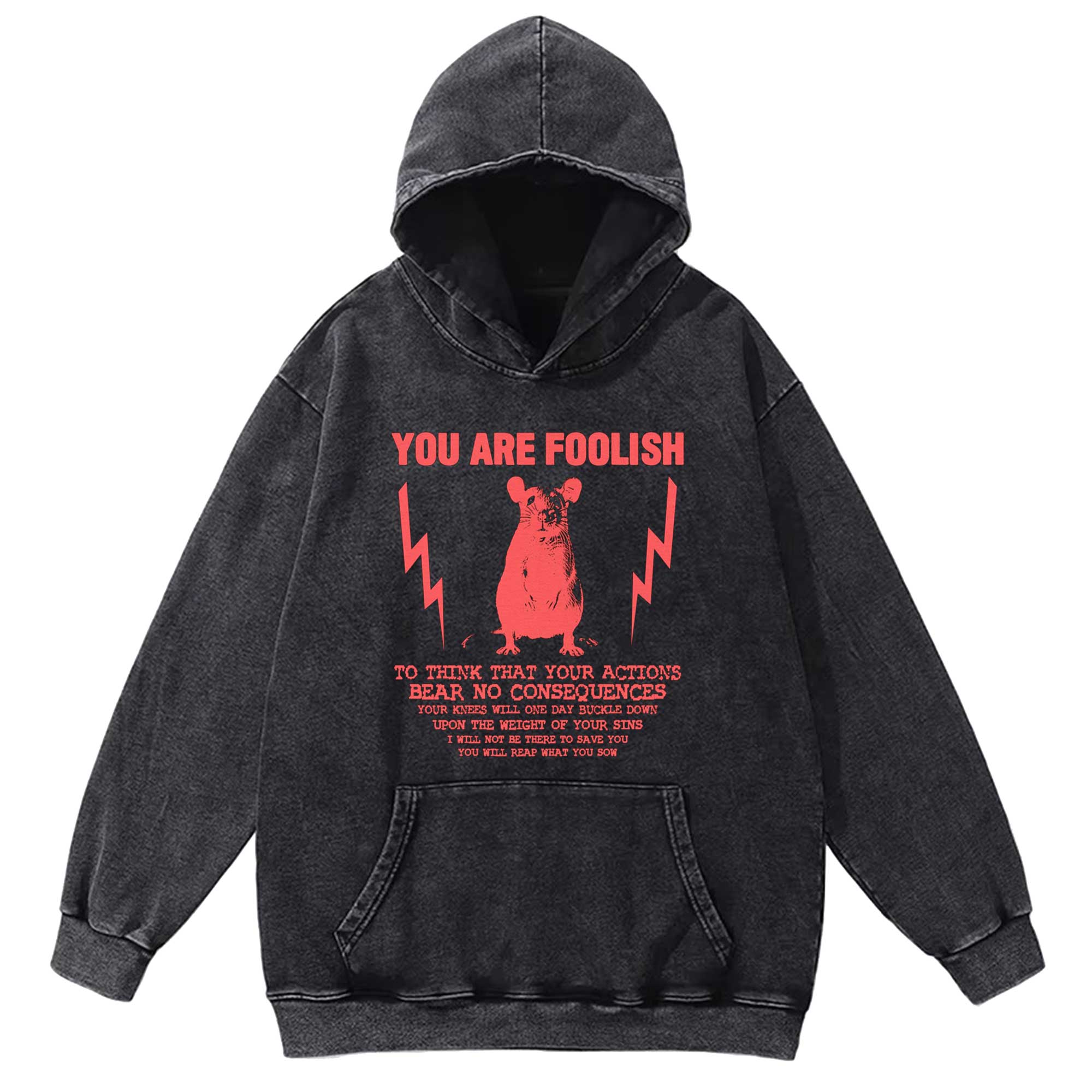 You Are Foolish Washed Hoodie