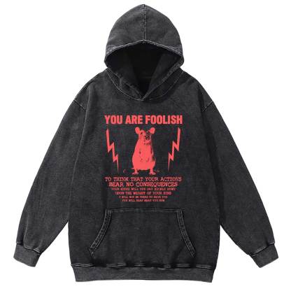 You Are Foolish Washed Hoodie