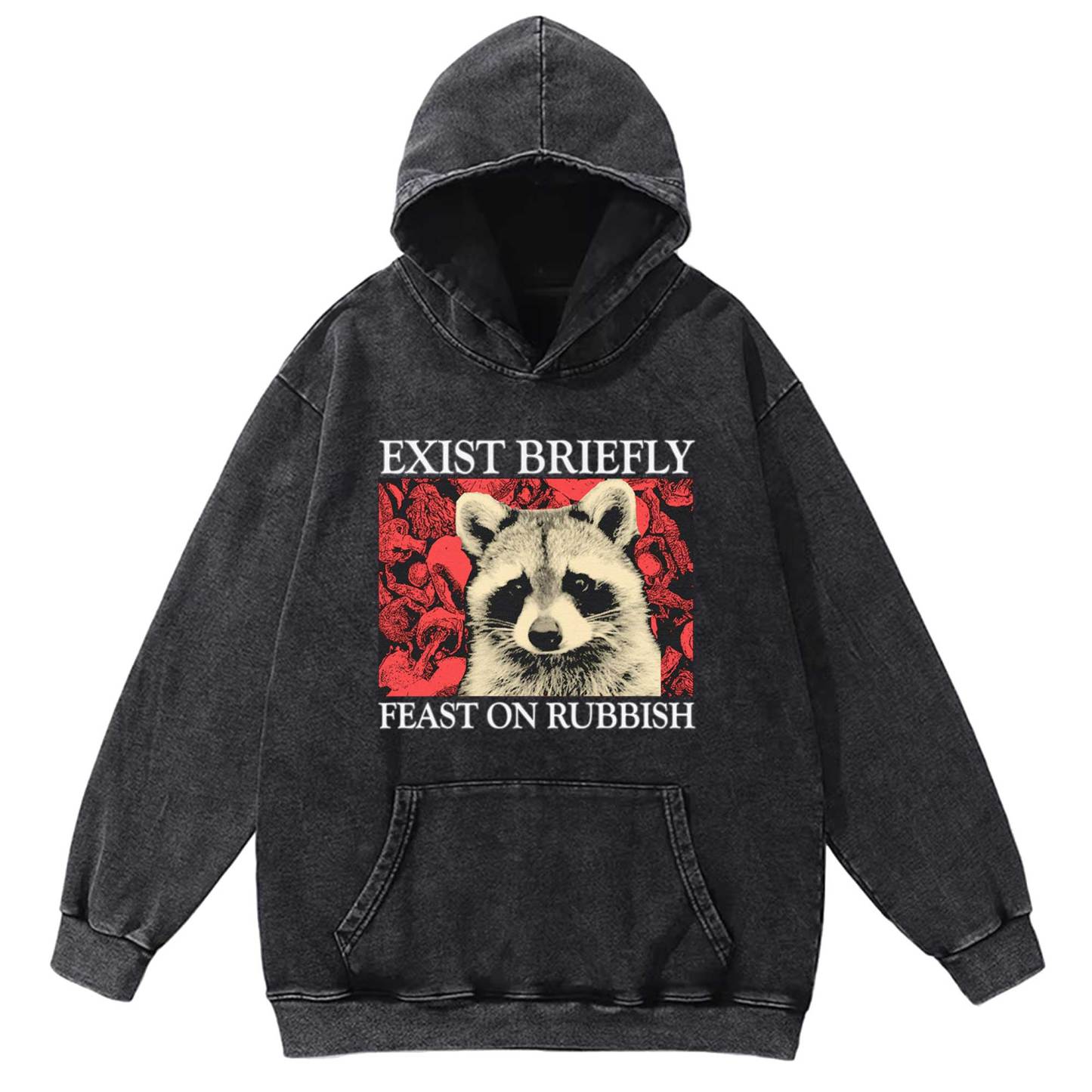 Exist Briefly Feast On Rubbish Washed Hoodie