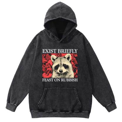 Exist Briefly Feast On Rubbish Washed Hoodie