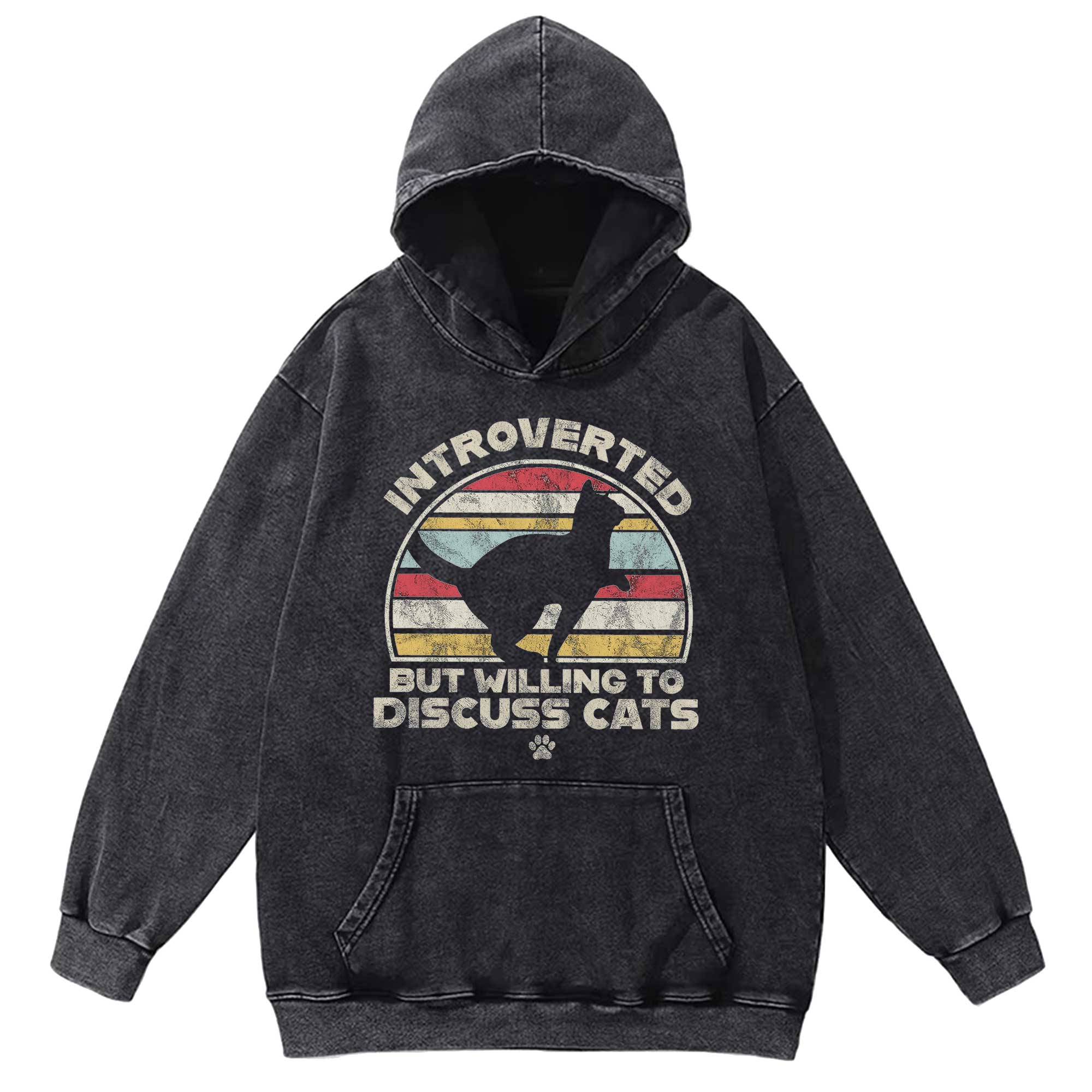Introverted But Willing To Dicuss Cats Washed Hoodie