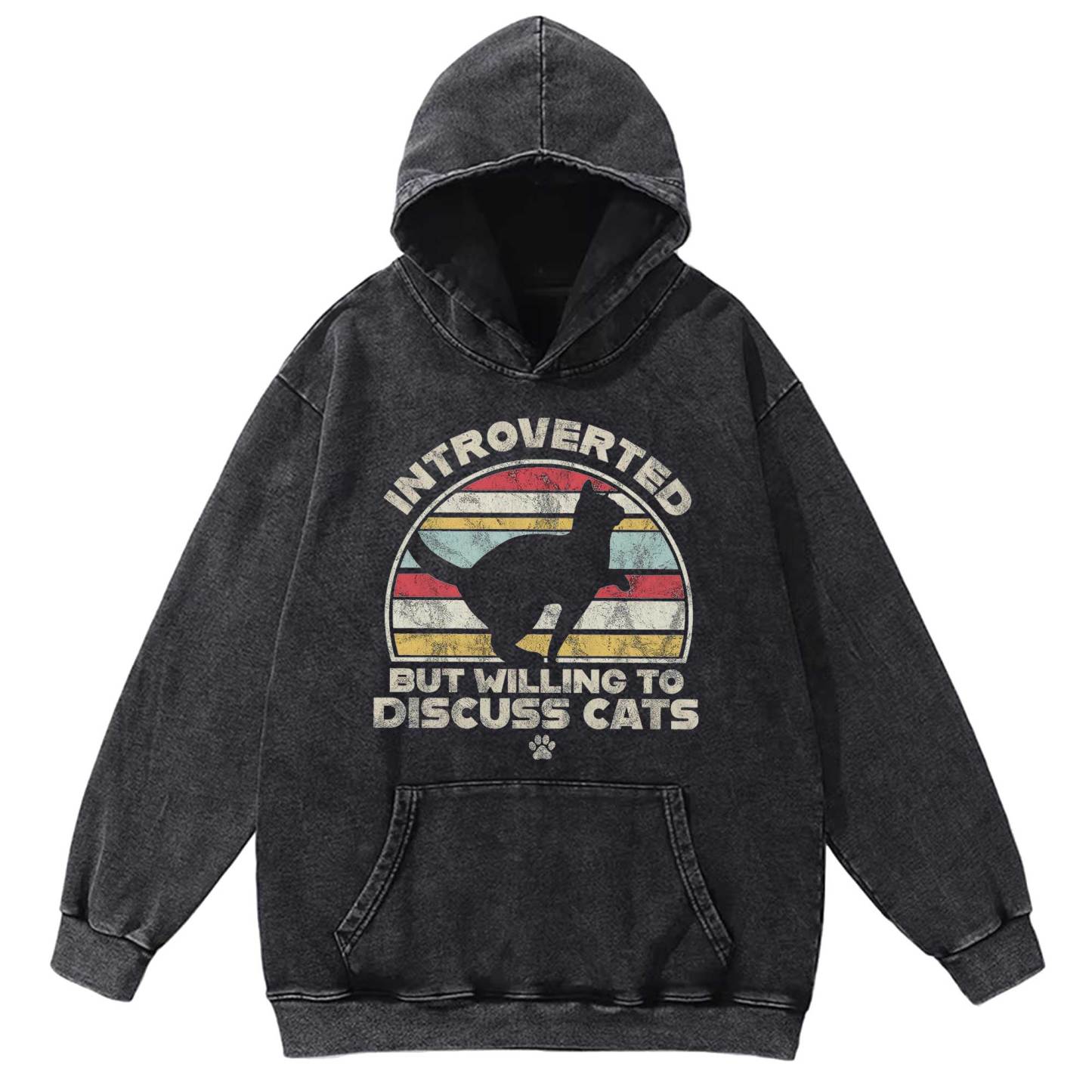 Introverted But Willing To Dicuss Cats Washed Hoodie