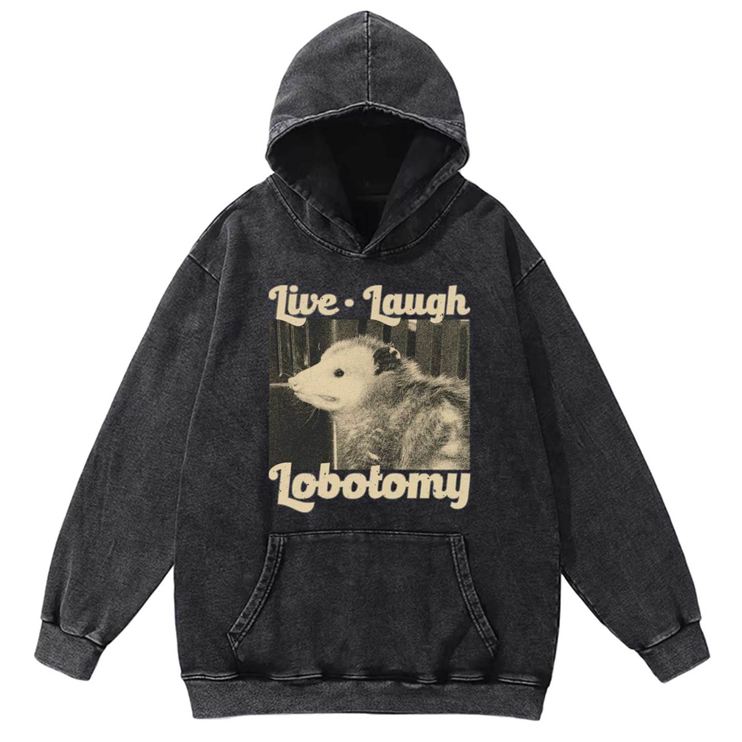 Live Laugh Lobotomy Washed Hoodie