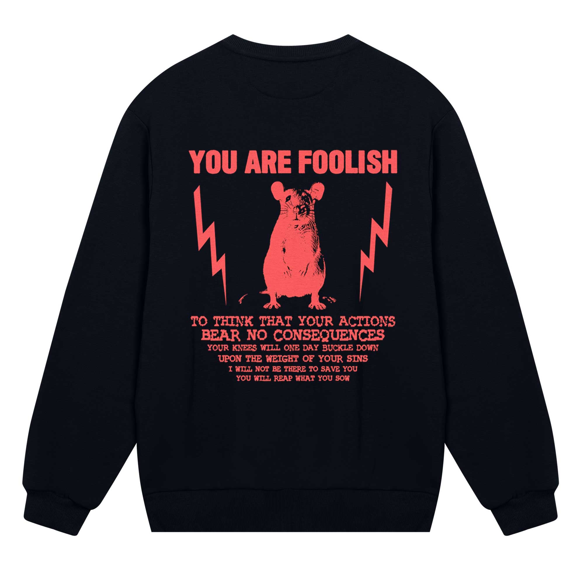 You Are Foolish Sweatshirt