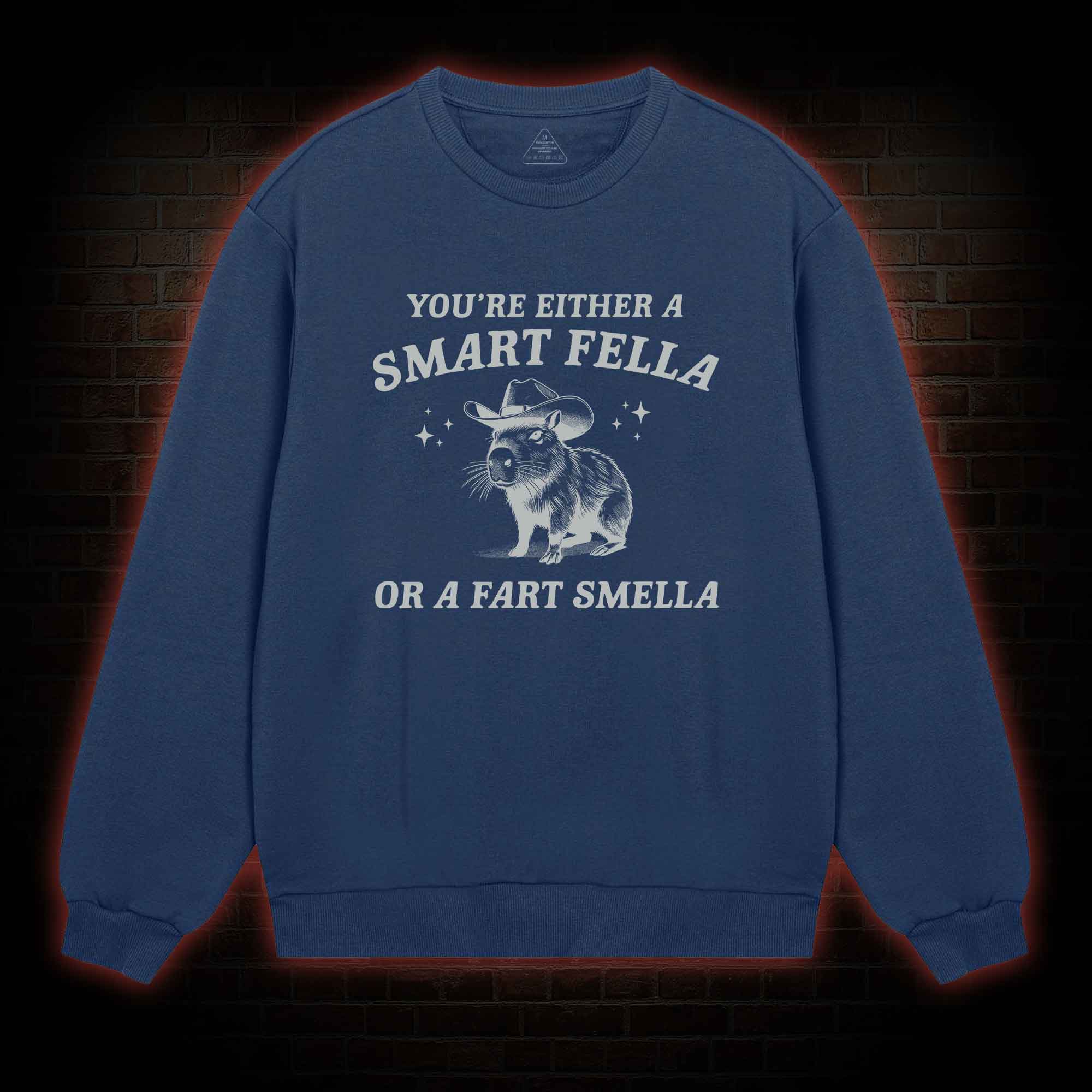 Smart Fella Or Fart Smella Sweatshirt