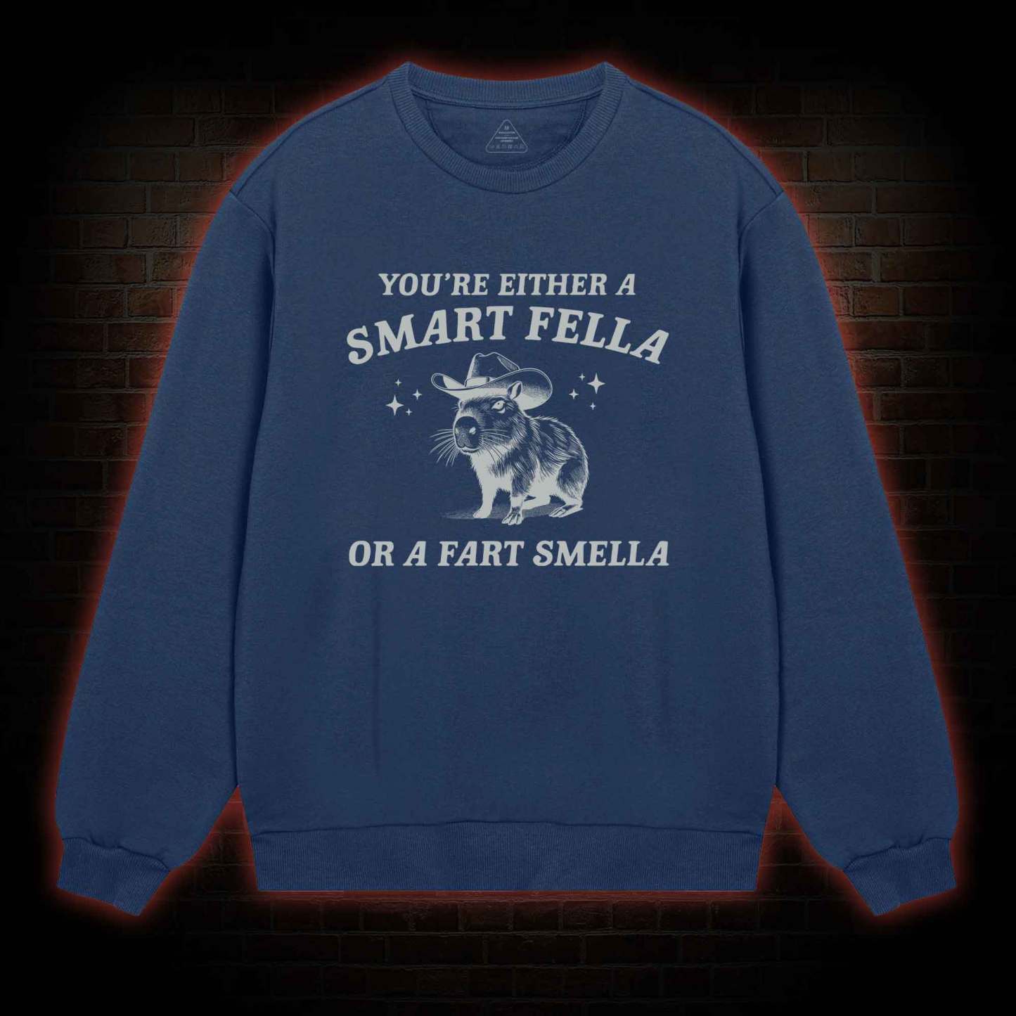 Smart Fella Or Fart Smella Sweatshirt