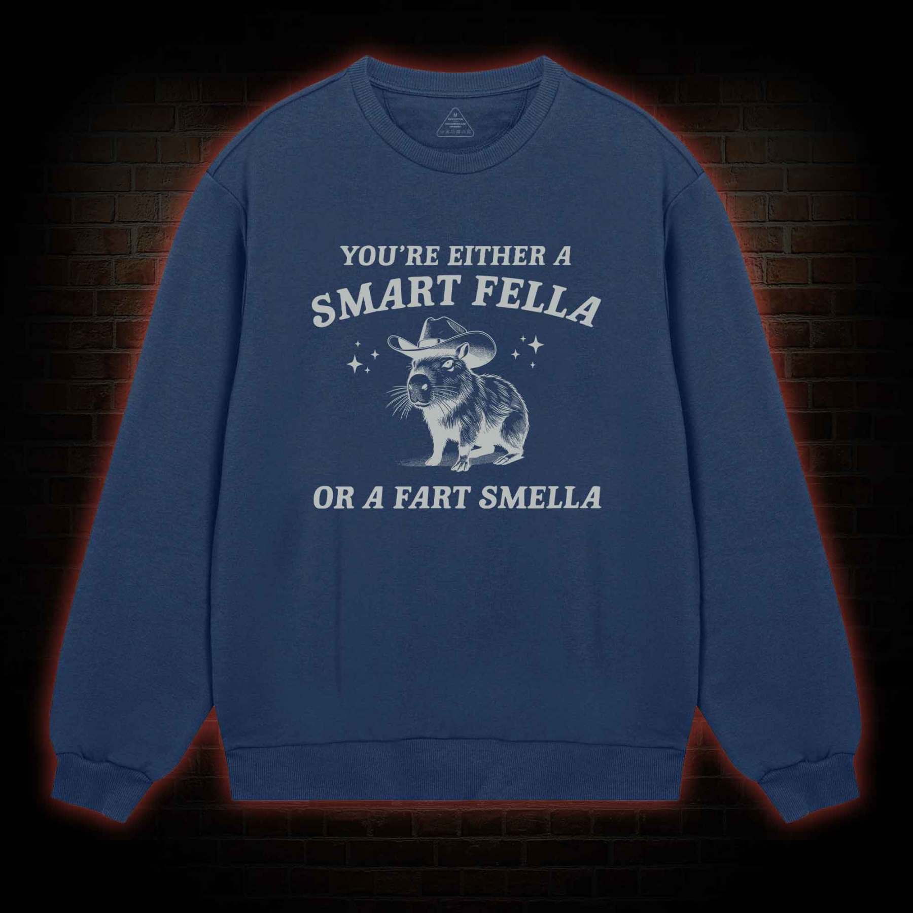 Smart Fella Or Fart Smella Sweatshirt