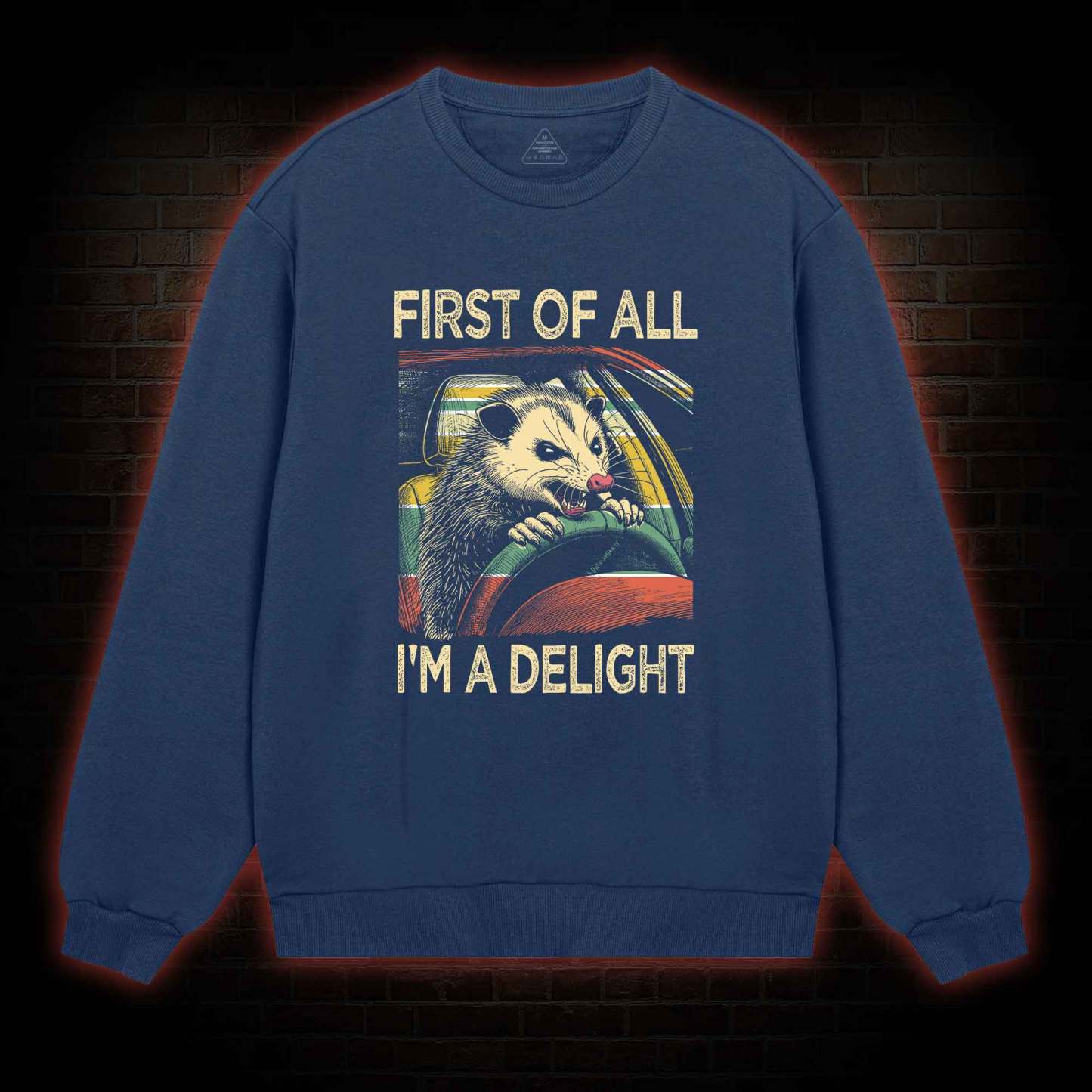 First Of All I'm A Delight Sweatshirt