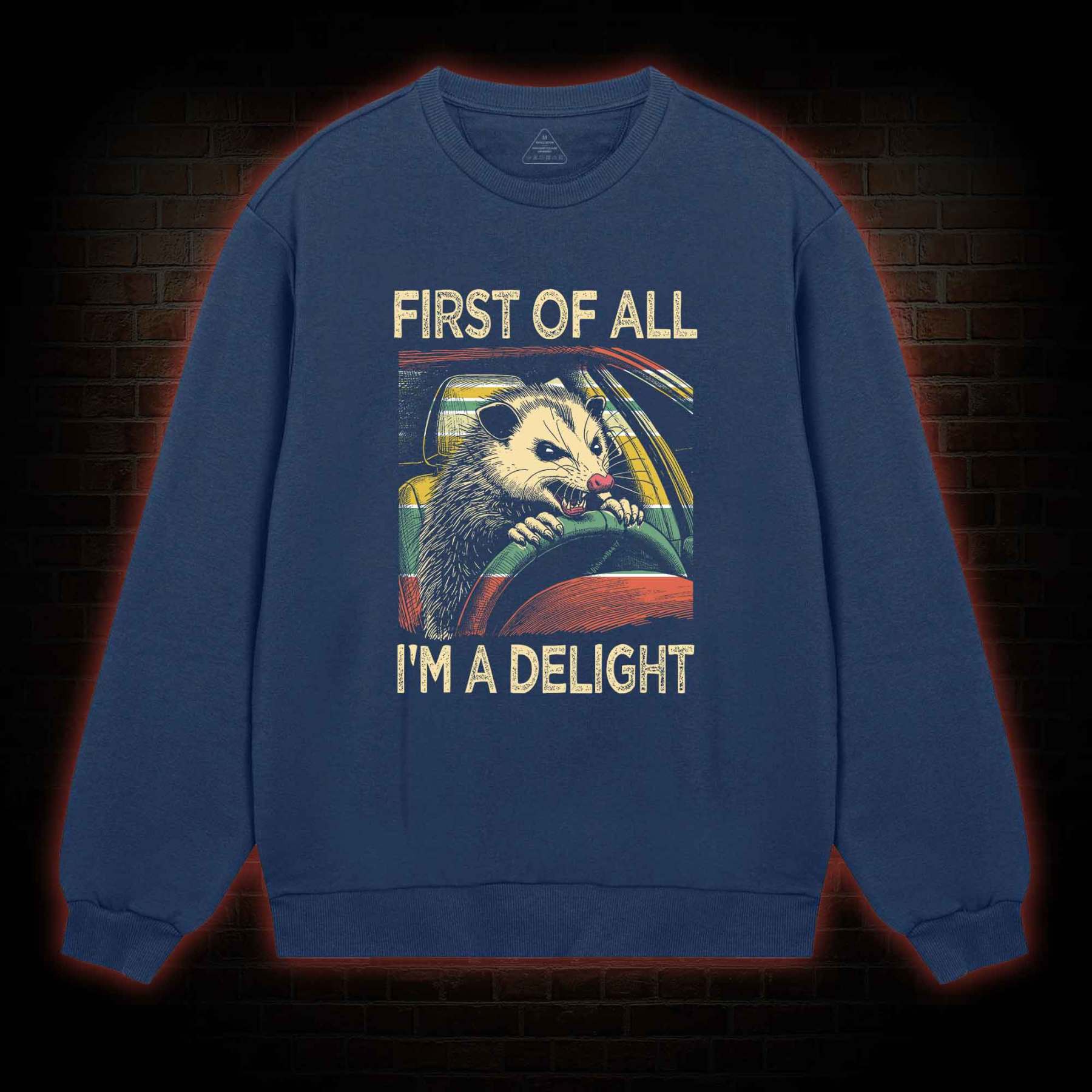 First Of All I'm A Delight Sweatshirt