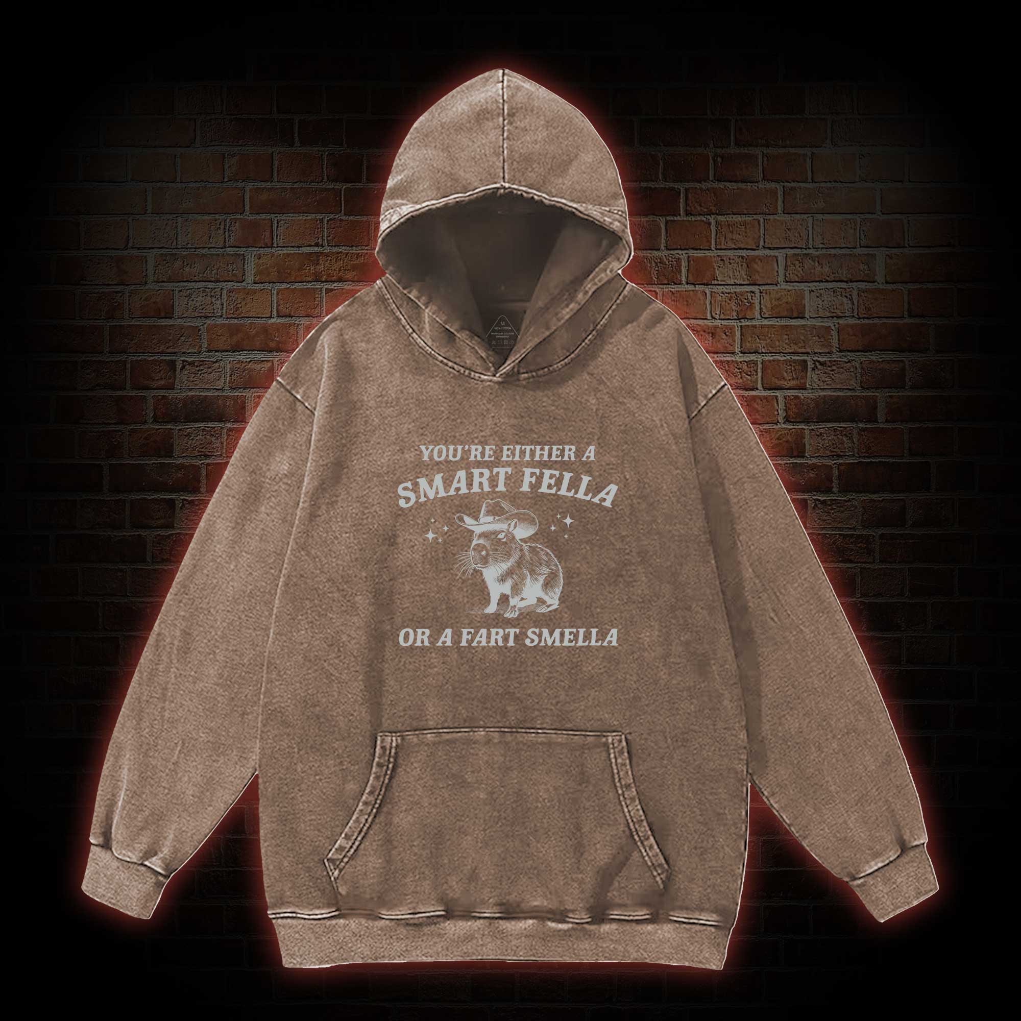 Smart Fella Or Fart Smella Washed Hoodie