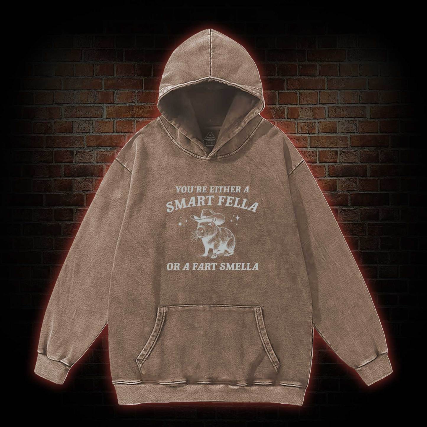Smart Fella Or Fart Smella Washed Hoodie