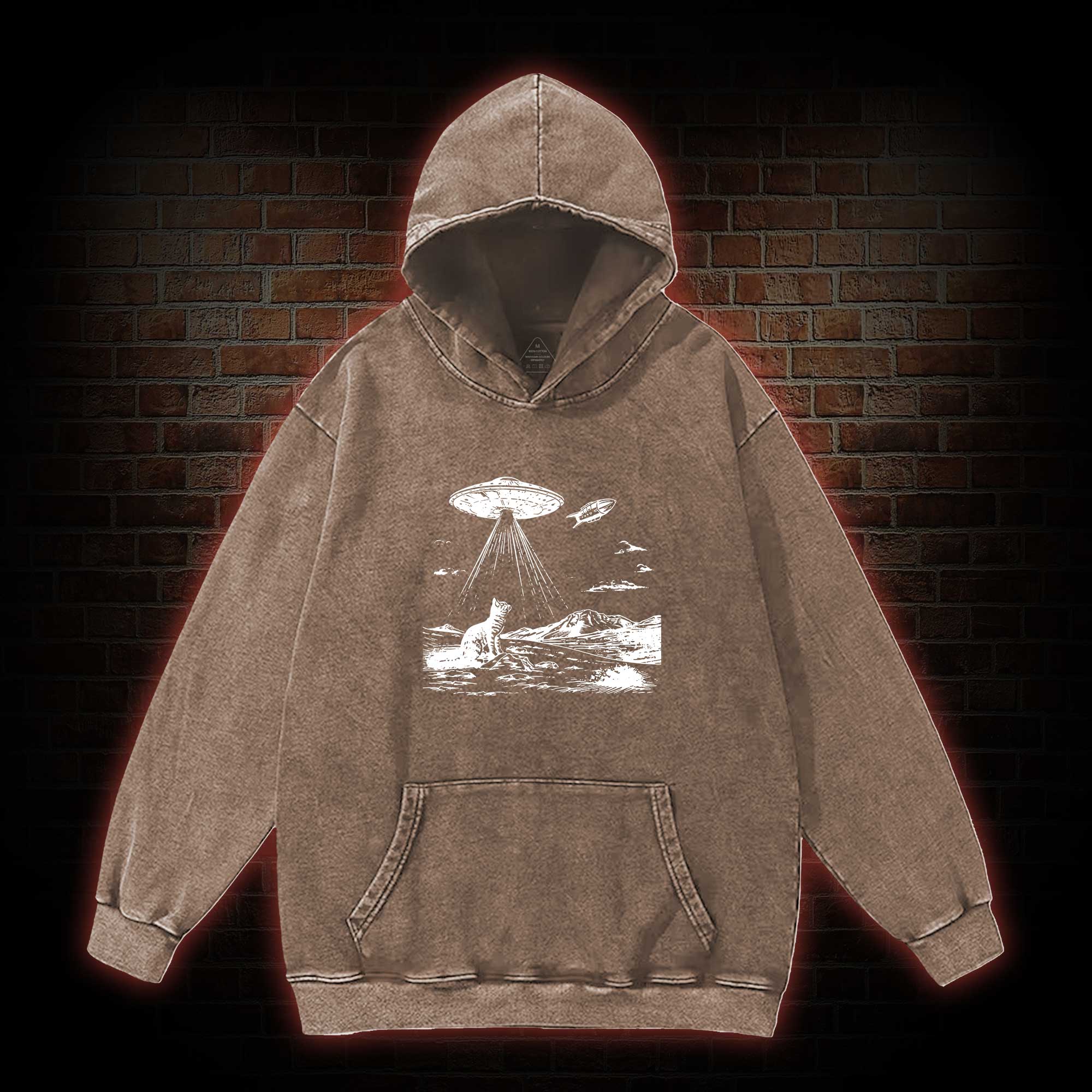 Ufo Cat Washed Hoodie