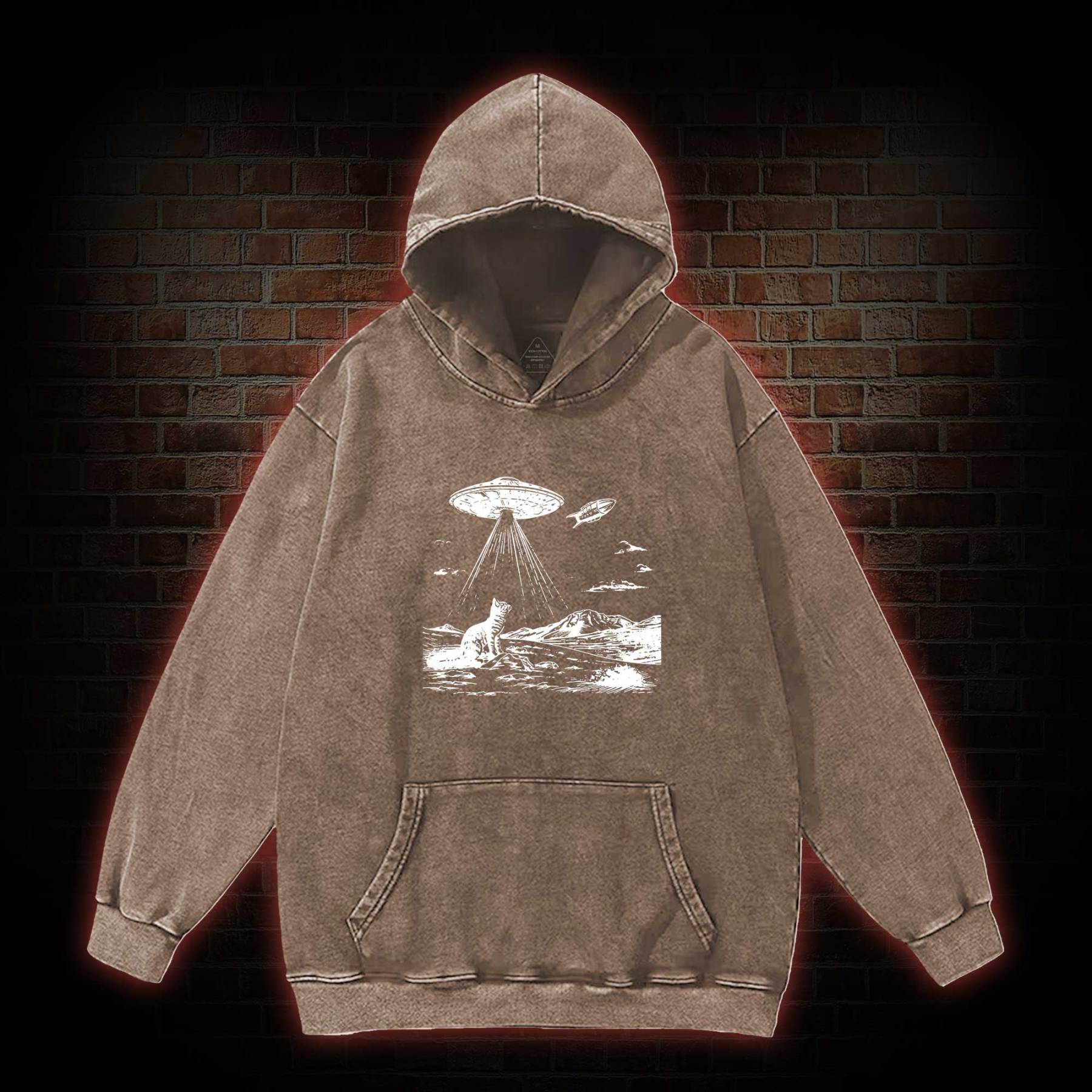 Ufo Cat Washed Hoodie