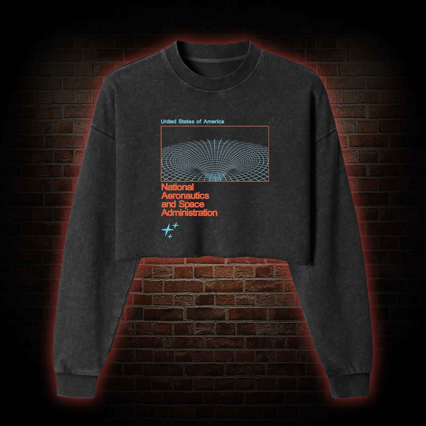 Wormhole Washed Cropped Sweatshirts