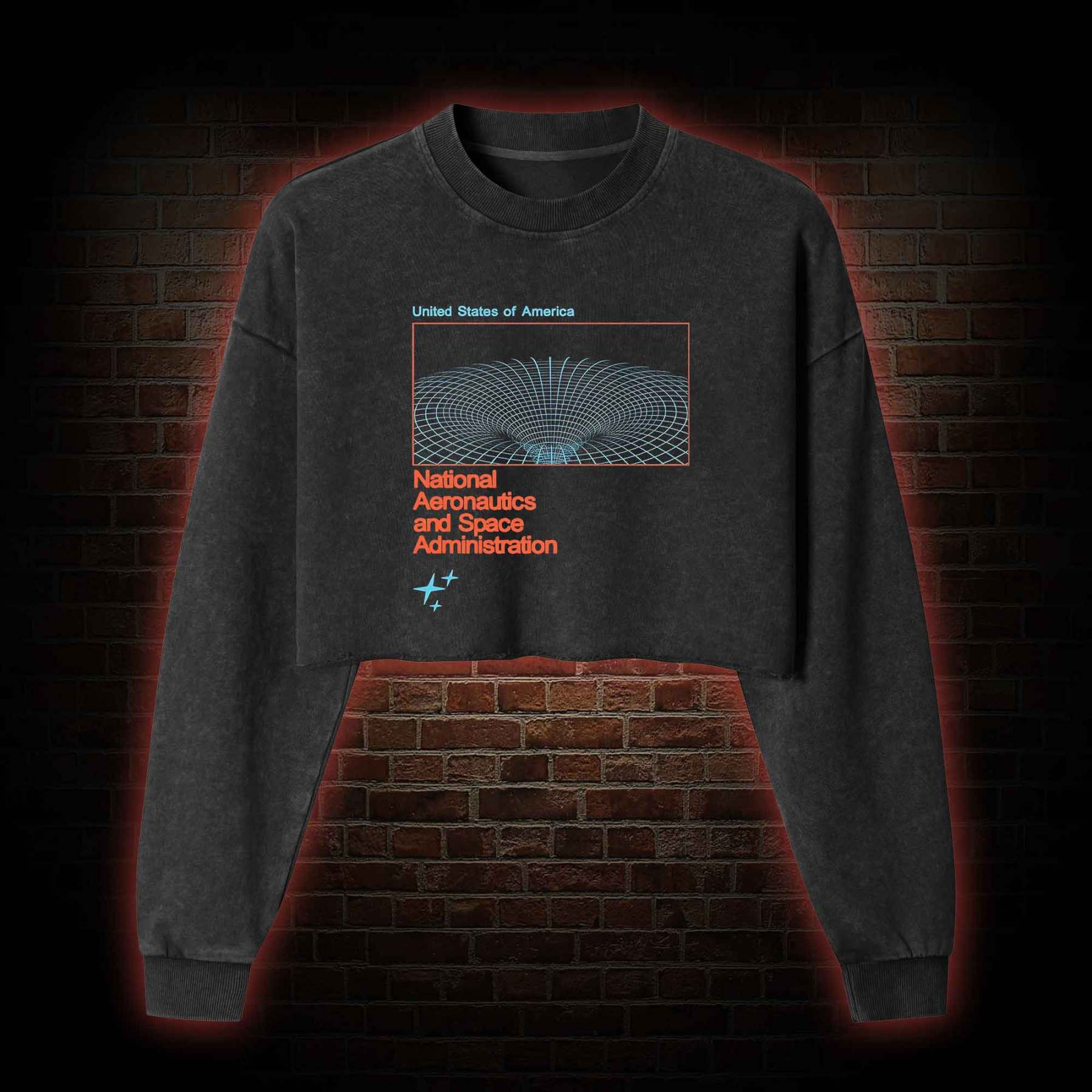 Wormhole Washed Cropped Sweatshirts