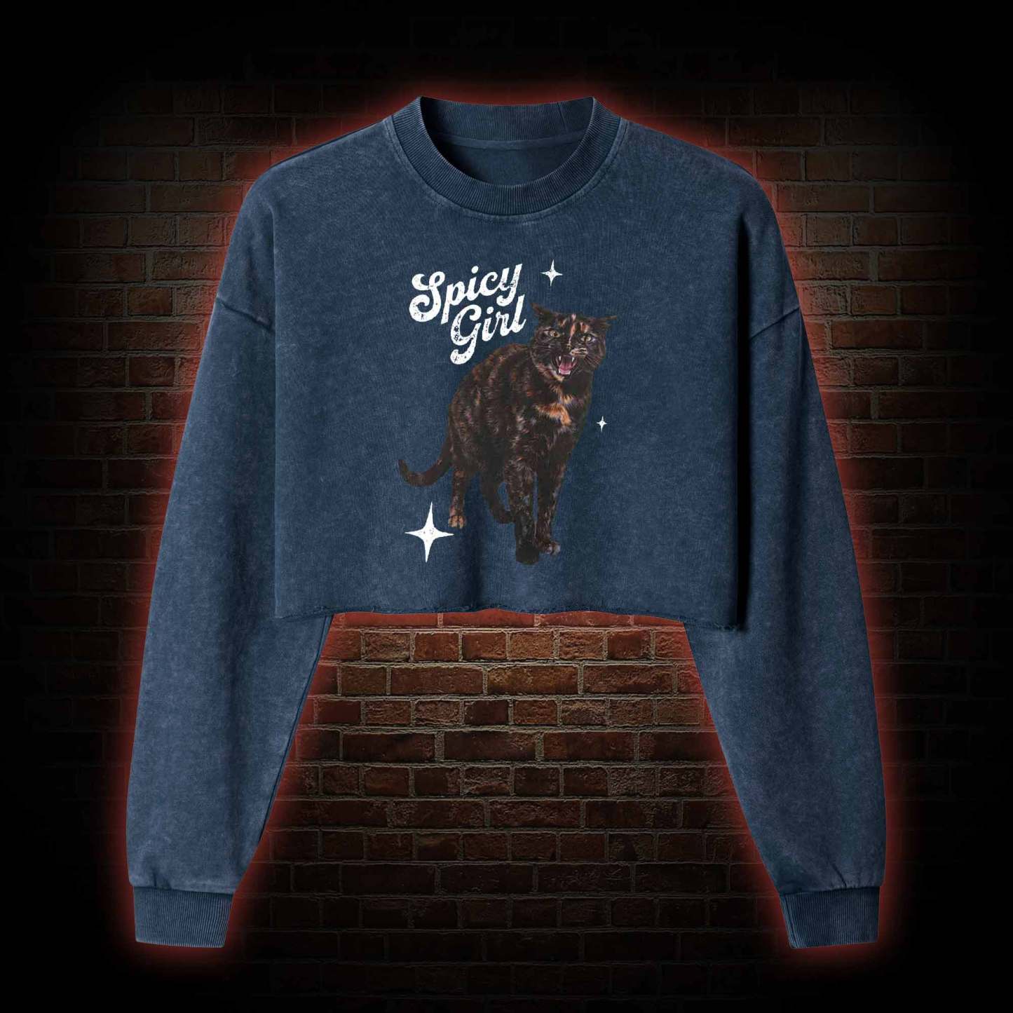 Spicy Girl Washed Cropped Sweatshirts