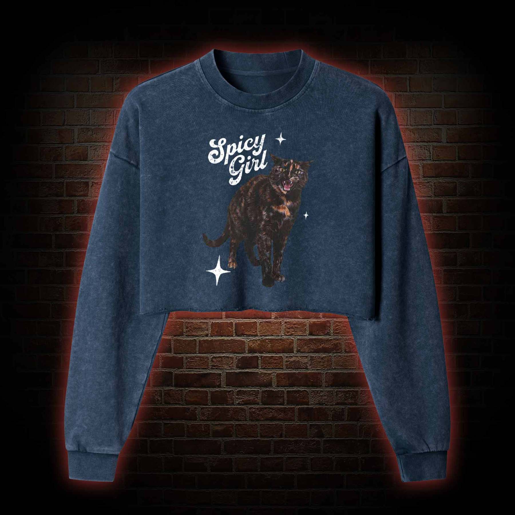 Spicy Girl Washed Cropped Sweatshirts
