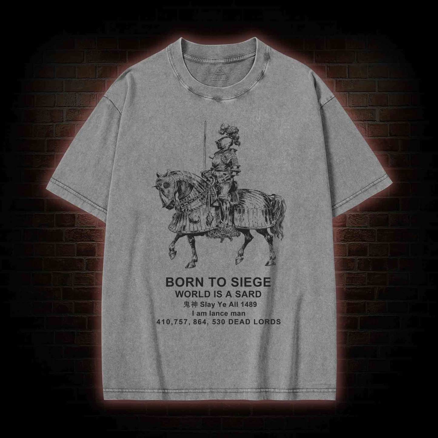 Born To Siege Washed T-shirt