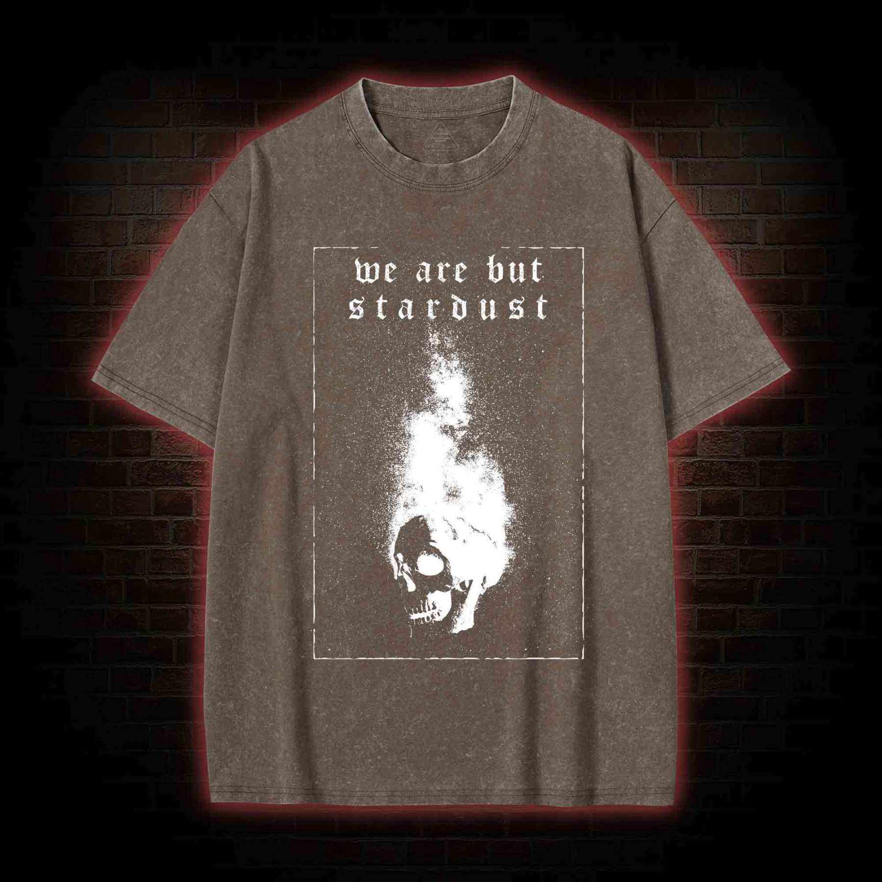 We Are but Stardust Washed T-shirt