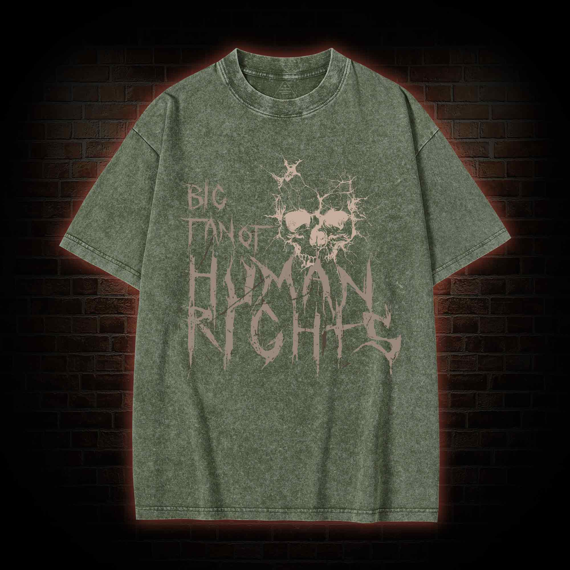 Big Fan of Human Rights Washed T-shirt